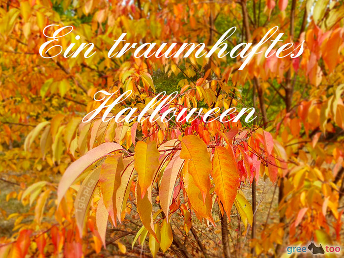 Ein Traumhaftes Halloween