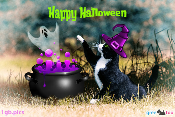 Katze Happy Halloween