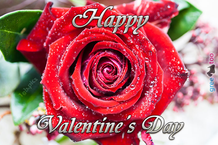 Happy Valentine's Day von 1gbpics.com