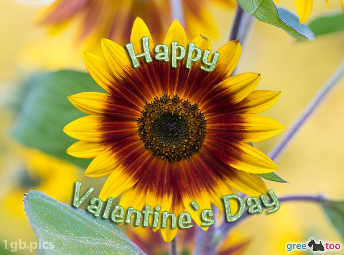 Sonnenblume Happy Valentines Day