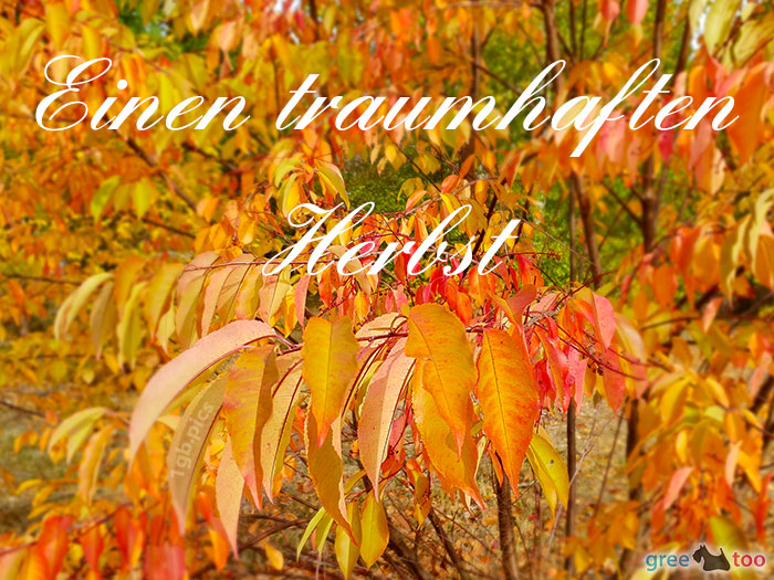 Herbst von 1gbpics.com