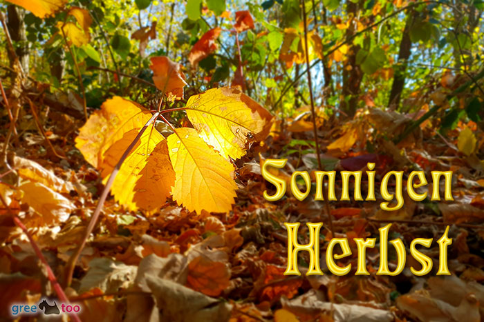 Sonnigen Herbst