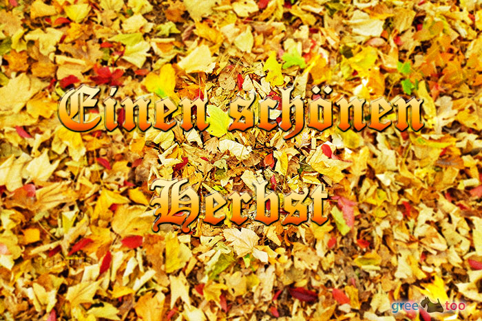 Herbst von 1gbpics.com