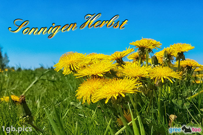 Herbst von 1gbpics.com