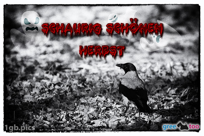 Herbst von 1gbpics.com