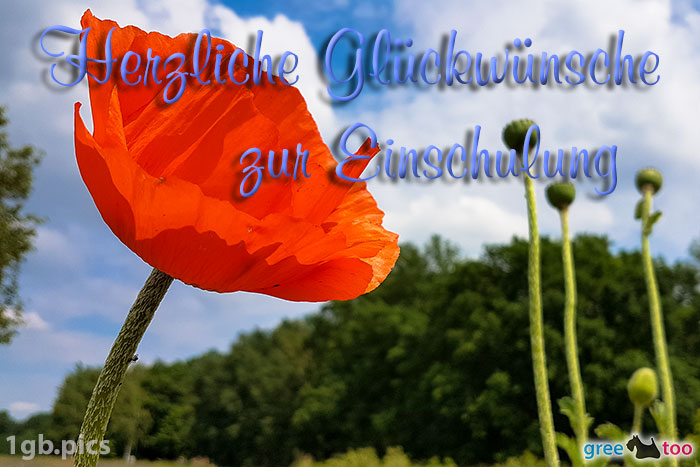 Herzliche Glückwünsche zur Einschulung von 1gbpics.com