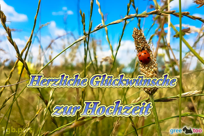 Herzliche Glückwünsche zur Hochzeit von 1gbpics.com