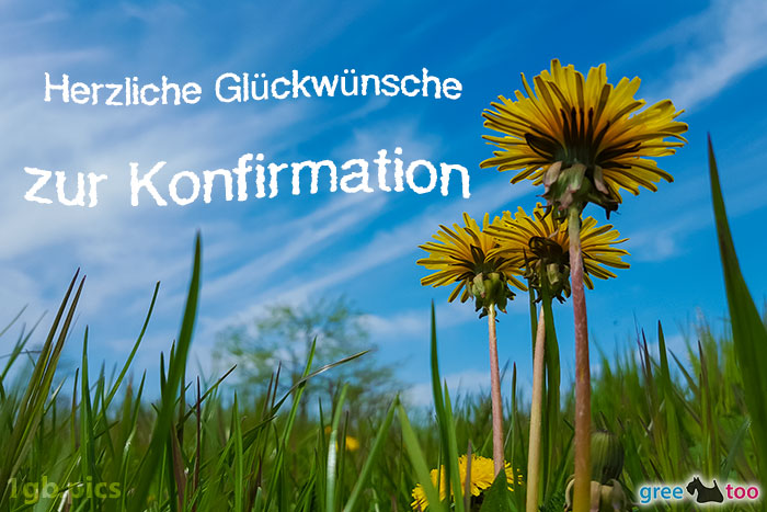 Loewenzahn Himmel Herzliche Glueckwuensche Zur Konfirmation