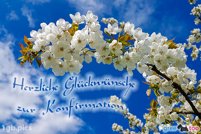 Kirschblueten Herzliche Glueckwuensche Zur Konfirmation