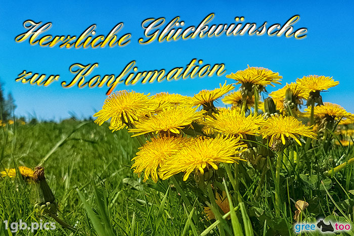 Loewenzahn Herzliche Glueckwuensche Zur Konfirmation