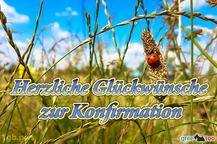 Marienkaefer Herzliche Glueckwuensche Zur Konfirmation