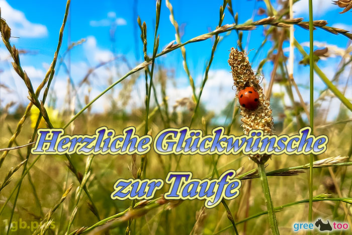 Herzliche Glückwünsche zur Taufe von 1gbpics.com