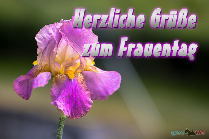 Herzliche Gruesse Frauentag