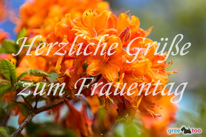 Herzliche Grüße zum Frauentag von 1gbpics.com