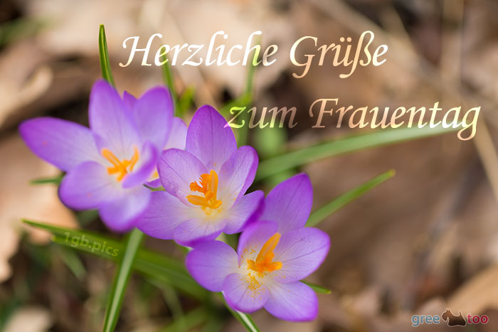 Herzliche Gruesse Frauentag