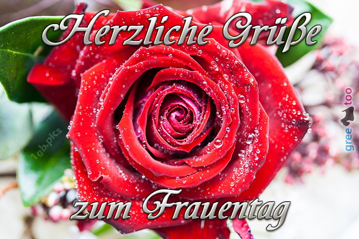 Herzliche Grüße zum Frauentag von 1gbpics.com