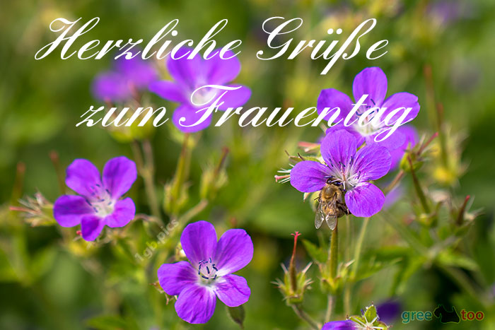 Herzliche Gruesse Frauentag