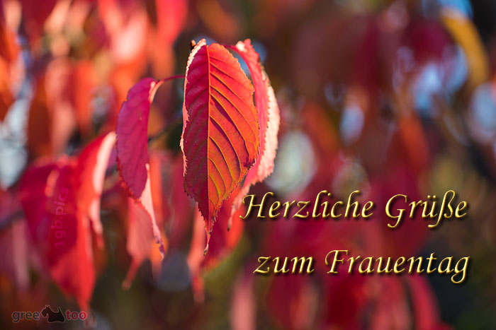 Herzliche Grüße zum Frauentag von 1gbpics.com