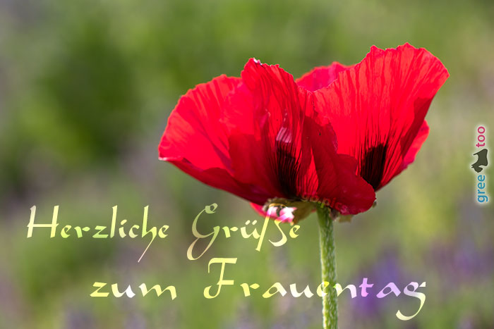 Herzliche Gruesse Frauentag