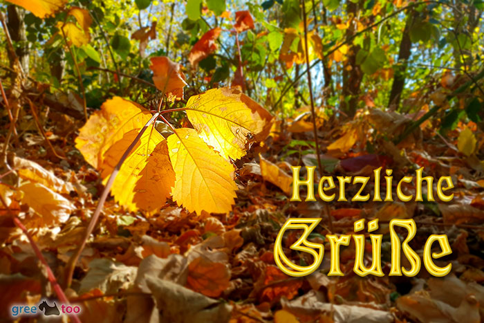 Herzliche Gruesse