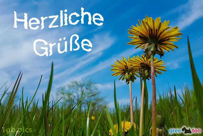 Herzliche Grüße von 1gbpics.com