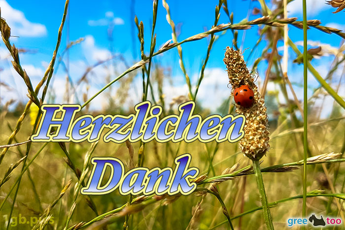 Marienkaefer Herzlichen Dank