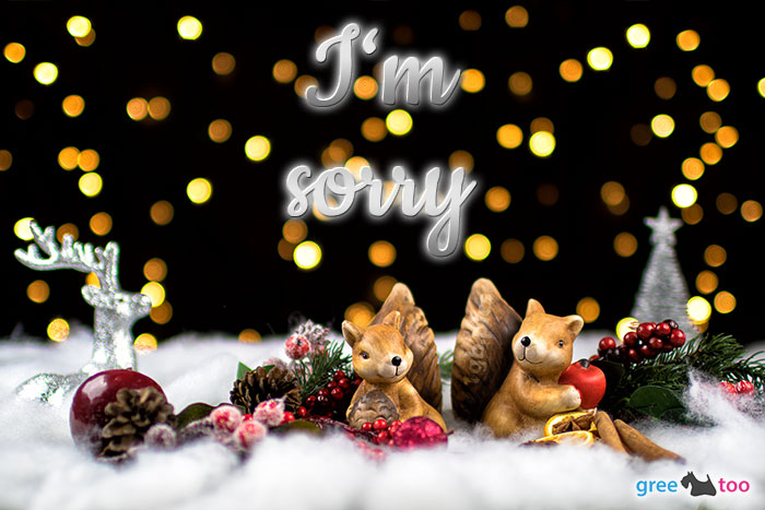 I Am Sorry