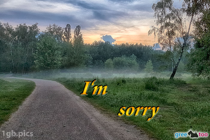 Nebel I Am Sorry Bild - 1gb.pics