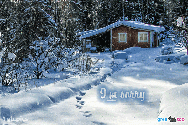 Verschneite Gruesse I Am Sorry Bild - 1gb.pics