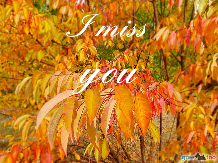 I miss you von 1gbpics.com