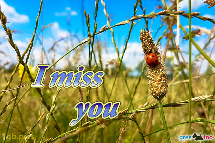 I miss you von 1gbpics.com