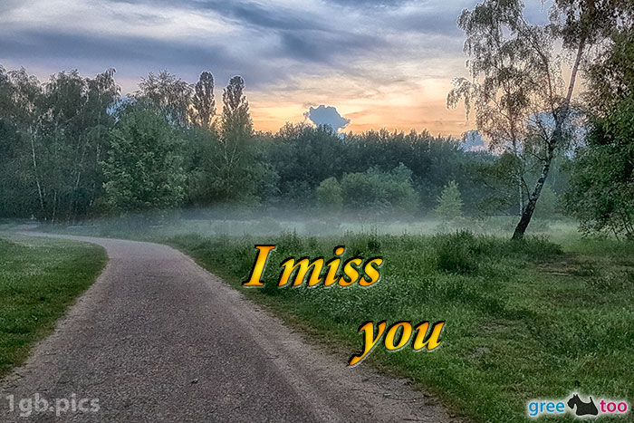 Nebel I Miss You Bild - 1gb.pics