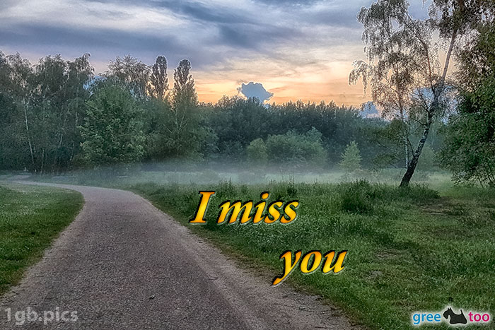 Nebel I Miss You