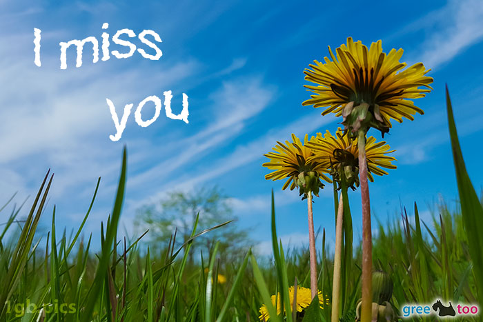 I miss you von 1gbpics.com