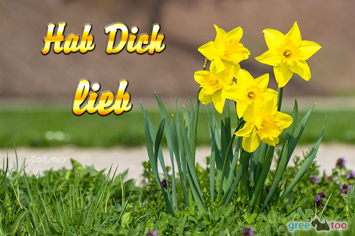 Hab Dich Lieb Bild - 1gb.pics