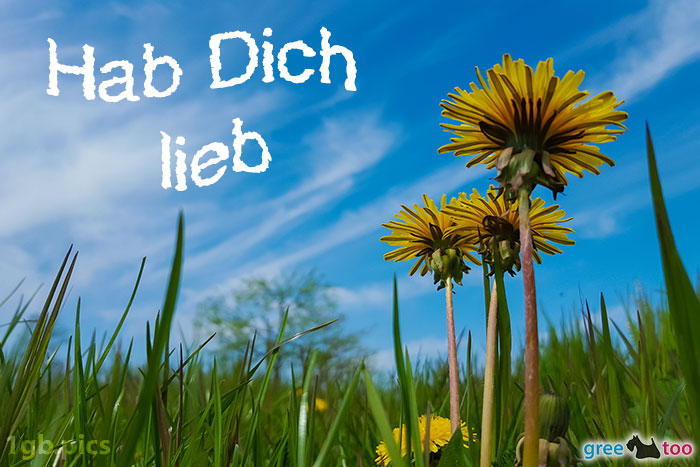 Hab dich lieb von 1gbpics.com