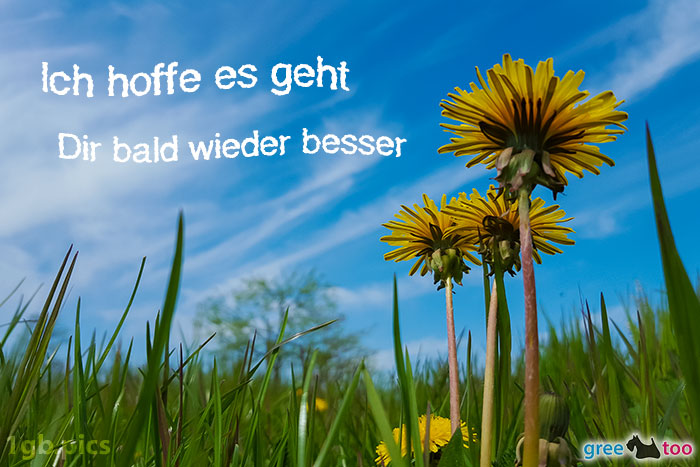 Ich hoffe es geht dir bald wieder besser von 1gbpics.com