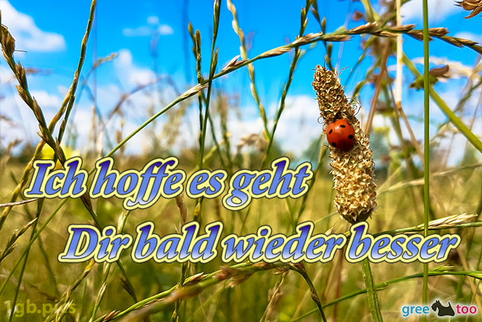 Ich hoffe es geht dir bald wieder besser von 1gbpics.com