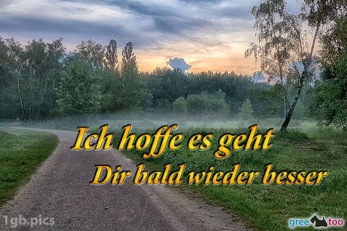 Ich hoffe es geht dir bald wieder besser von 1gbpics.com