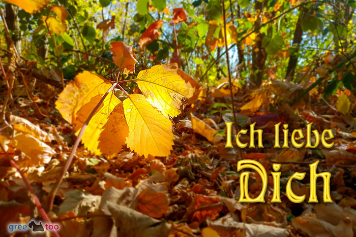 Ich Liebe Dich