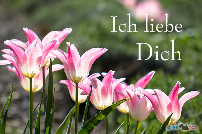 Ich Liebe Dich