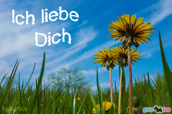 Ich liebe dich von 1gbpics.com