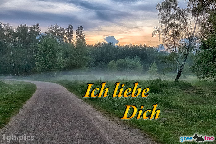 Nebel Ich Liebe Dich