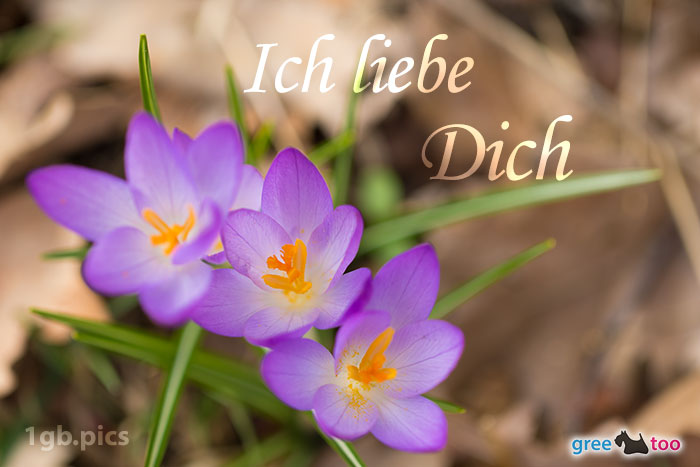 Ich liebe dich von 1gbpics.com