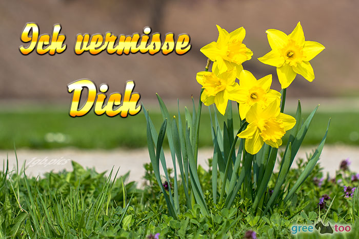 Ich Vermisse Dich