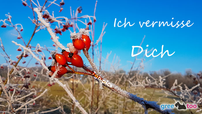 Ich Vermisse Dich