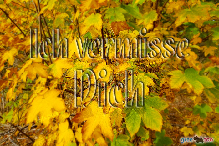 Ich Vermisse Dich