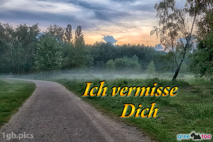 Nebel Ich Vermisse Dich