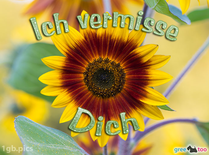 Ich vermisse dich von 1gbpics.com