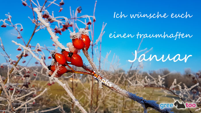 Einen Traumhaften Januar